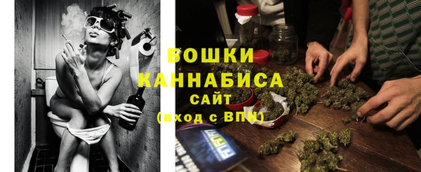 гидра Белоозёрский