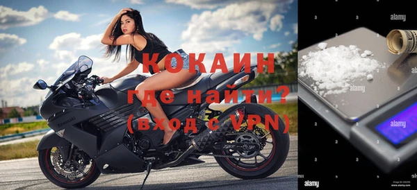 сатива Балахна