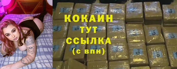 apvp Богородицк