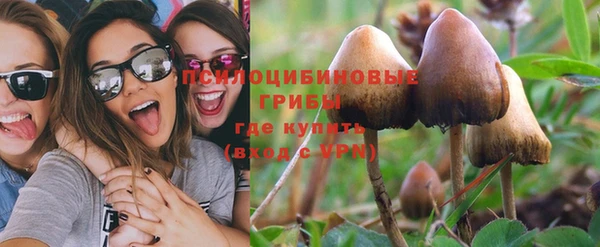 прущая мука Богданович
