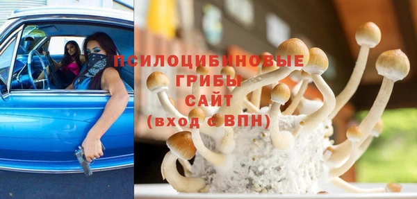 apvp Богородицк