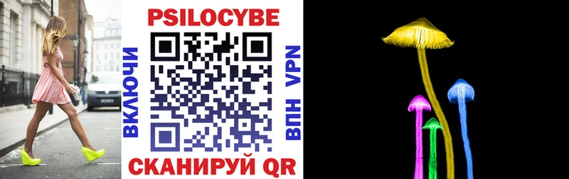 Галлюциногенные грибы Psilocybe  Бузулук 